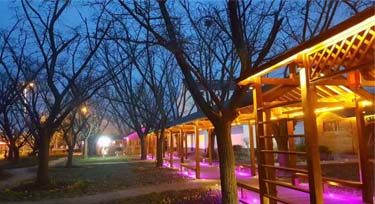 原生態公園亮化 LED洗墻燈與大自然融為一體