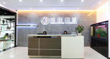 亮化項目投標 看光臣照明為您準備的這些資料