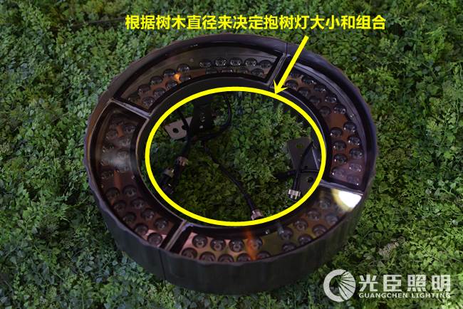 LED照樹燈